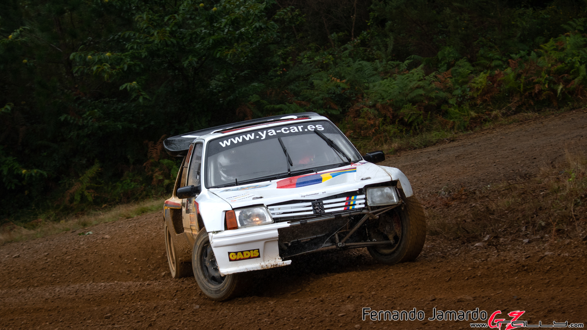 Rally Terra da Auga 2020 - Fernando Jamardo