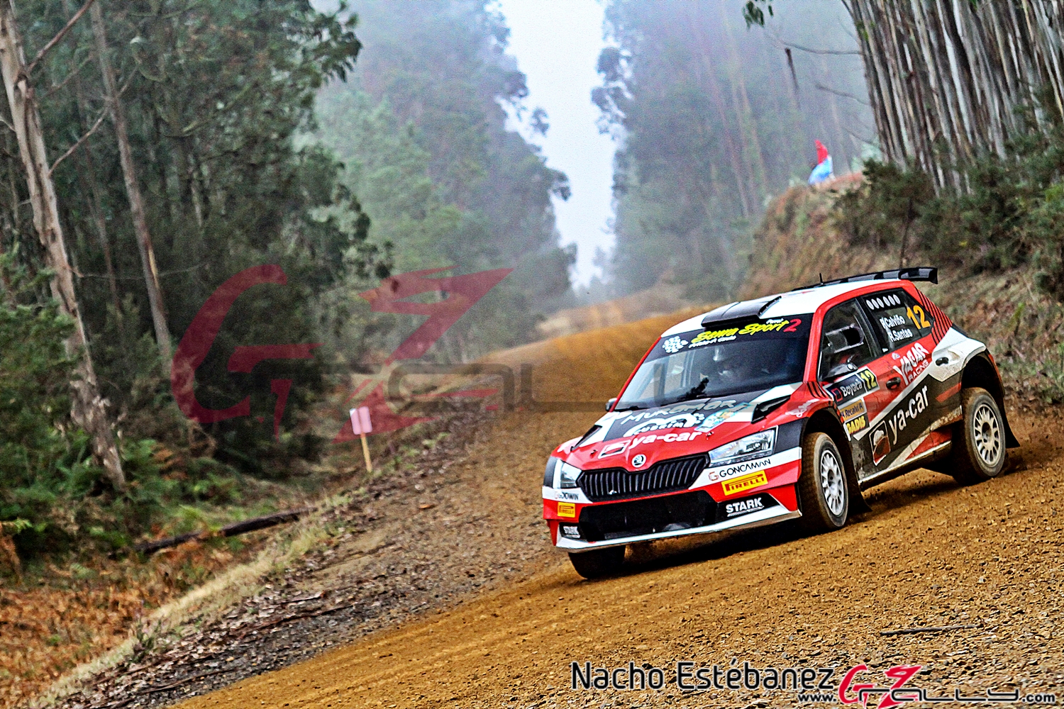 Rally Terra da Auga 2020 - Nacho Estébanez